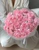 Букет из 35 розовых гвоздик 