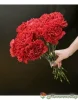 Букет из 15 красных гвоздик