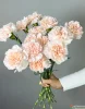 Букет из 15 бежевых гвоздик