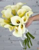 Букет из 15 белых калл в ленте