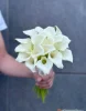 букет из 15 калл