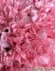 Шляпная коробка с розовой гвоздикой, 11 шт фоото 2